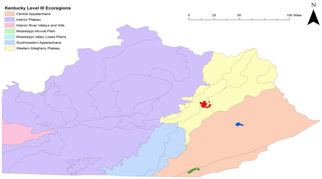 Forests 06 02719 g001 1024