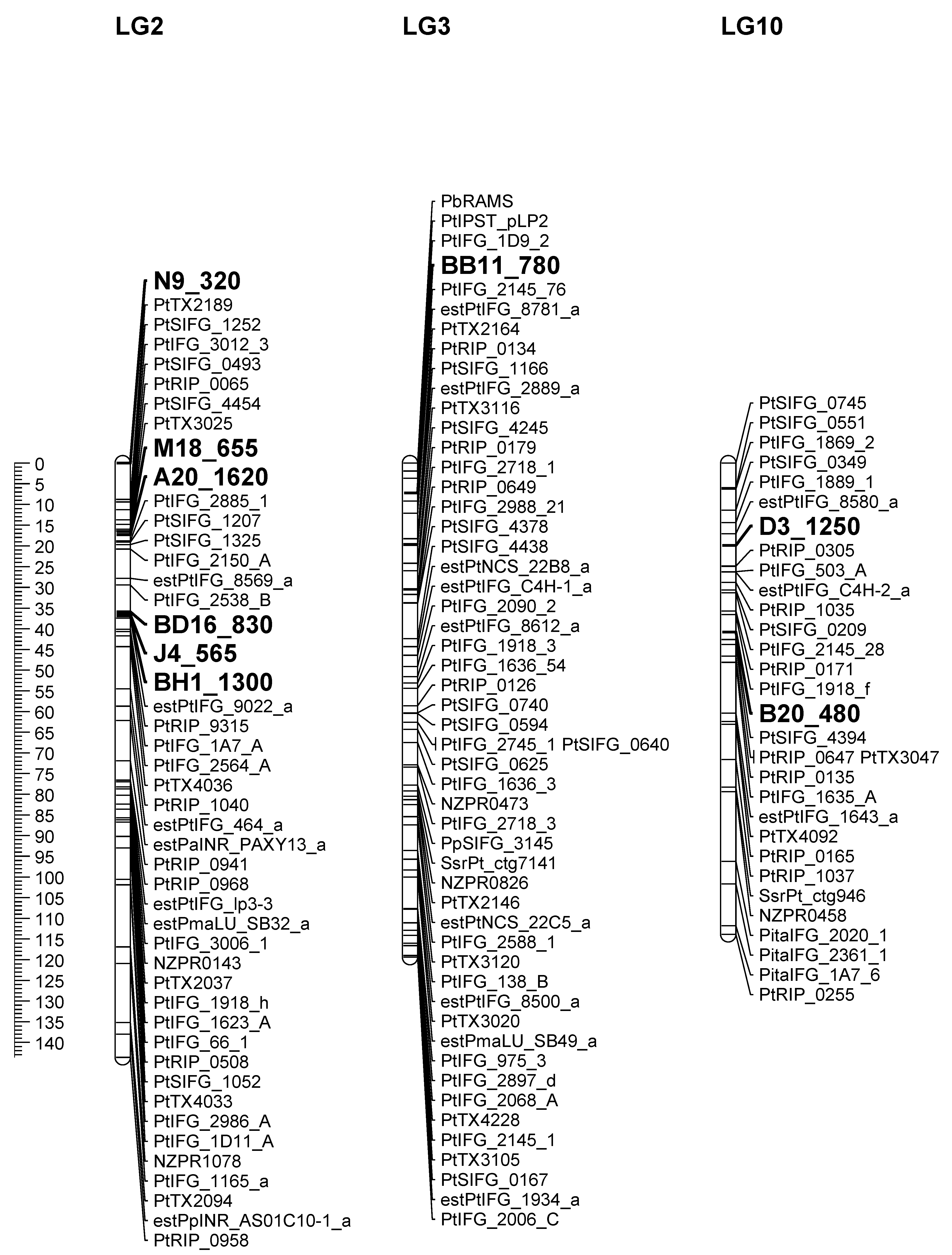 Forests 06 02739 g001