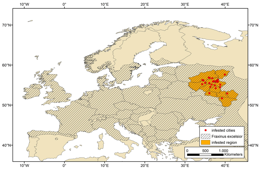 Forests 06 03075 g002 1024
