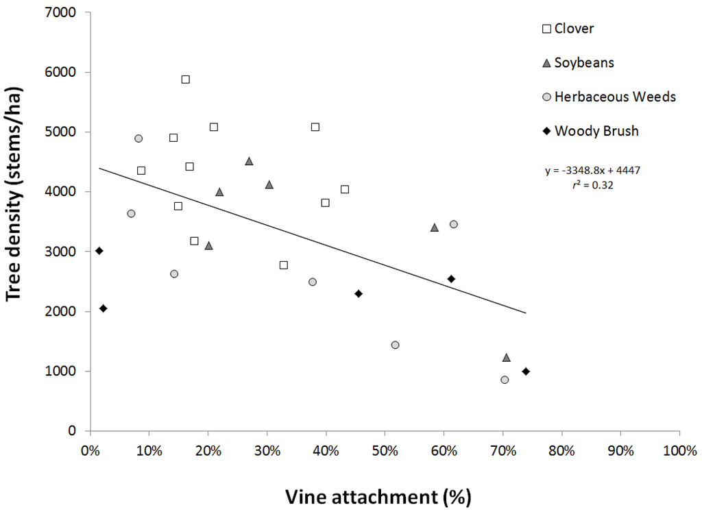Forests 06 03123 g005 1024