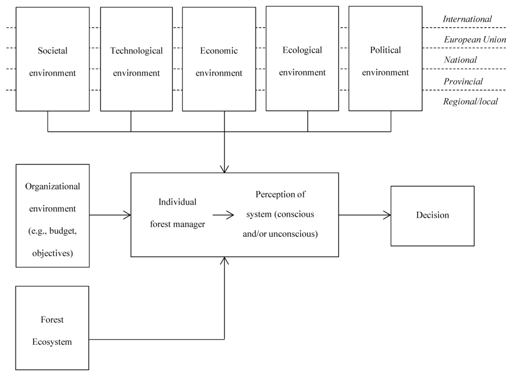 Forests 06 03237 g001 1024