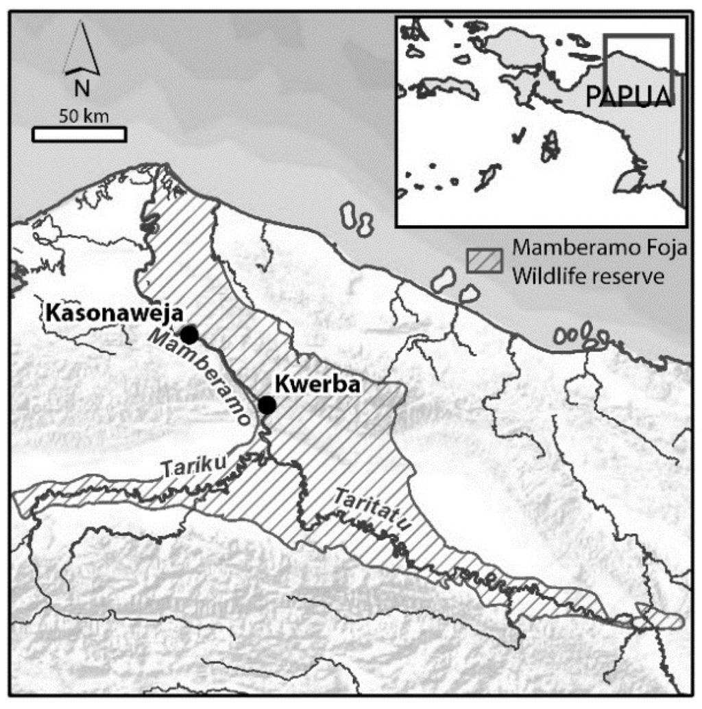 Forests 06 03278 g001 1024