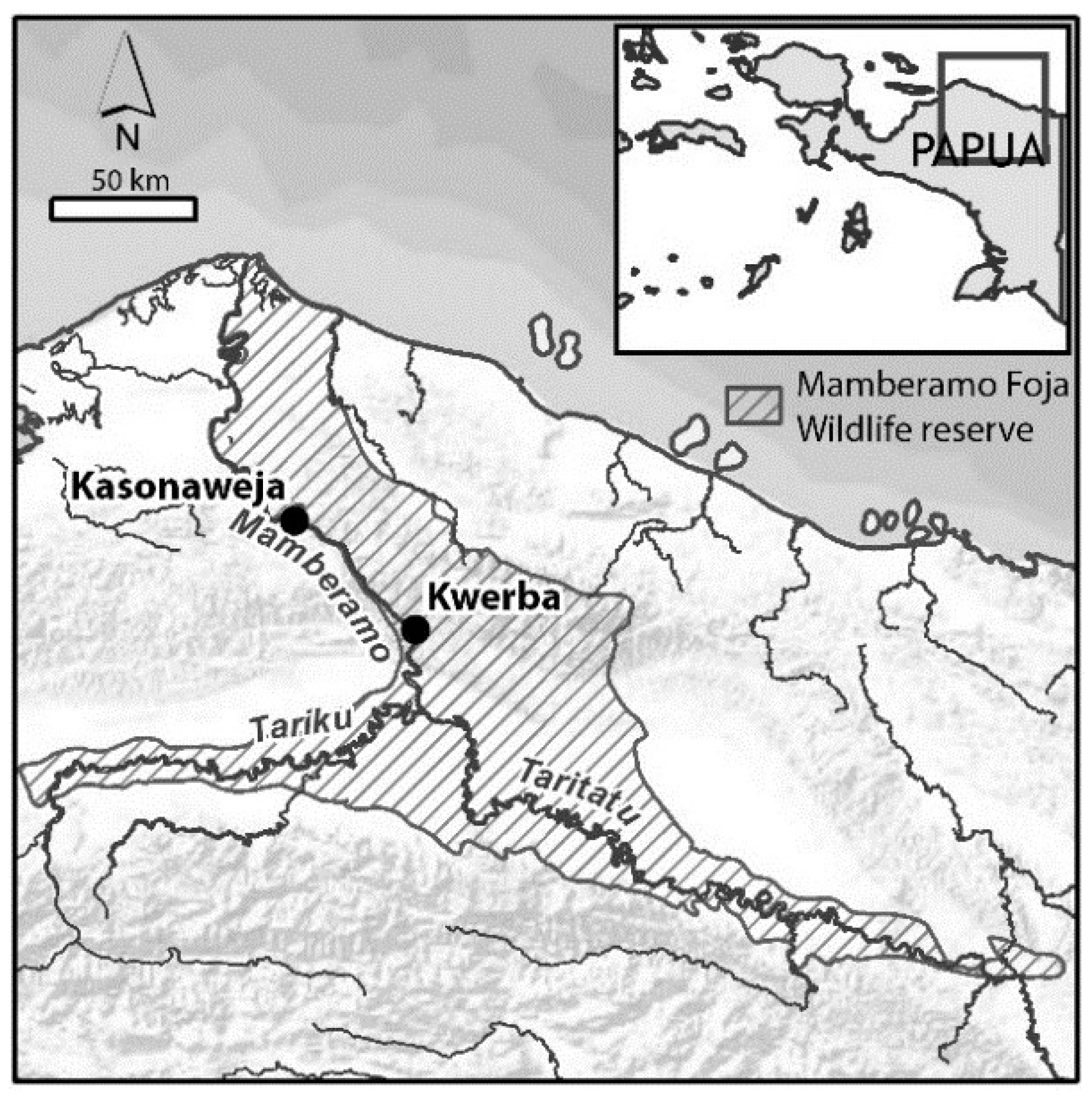 Forests 06 03278 g001