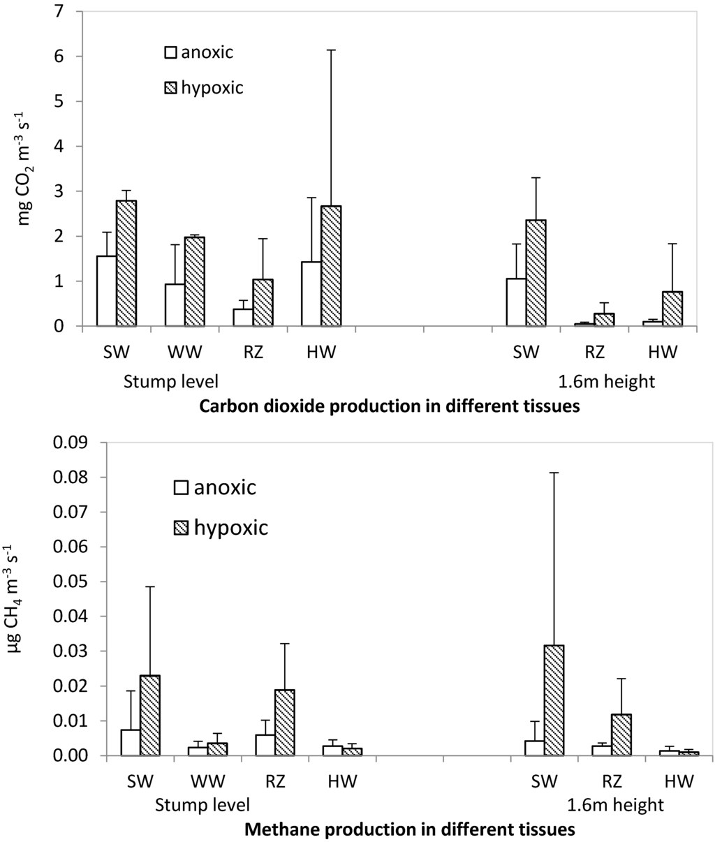 Forests 06 03304 g005 1024