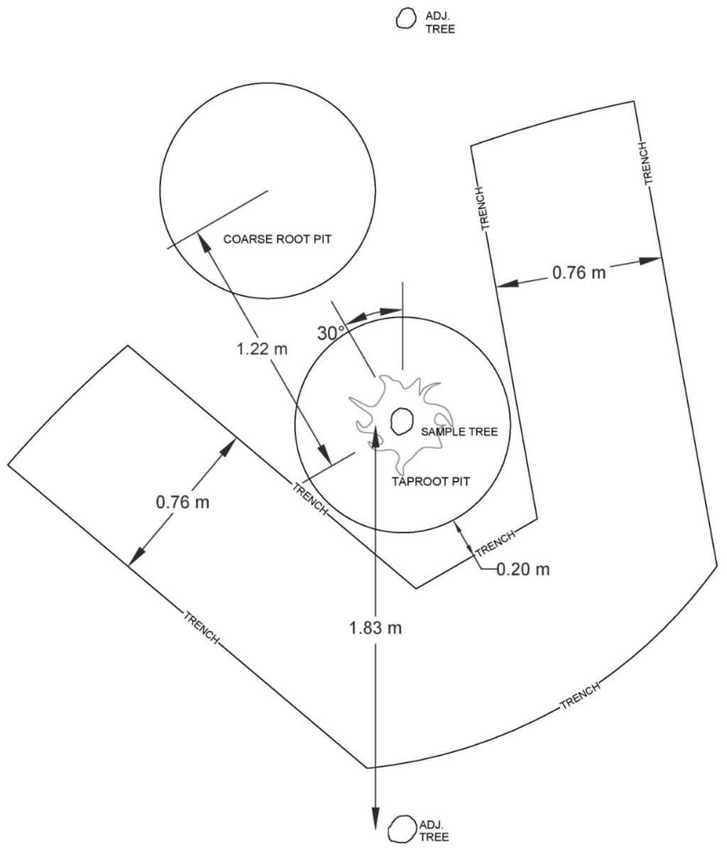 Forests 06 03547 g002 1024