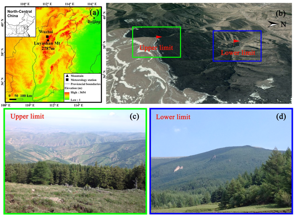 Forests 06 03809 g001 1024