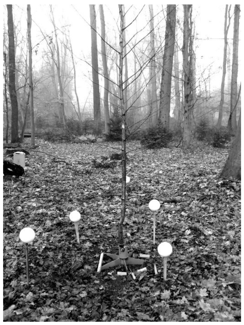 Forests 06 03847 g001 1024