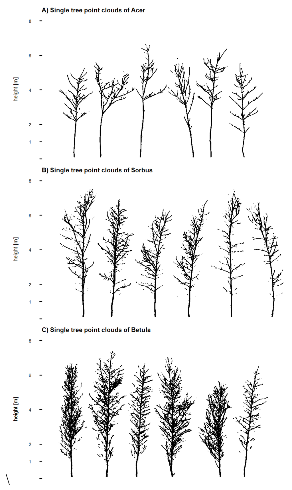 Forests 06 03847 g002 1024