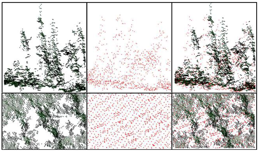 Forests 06 03899 g001 1024