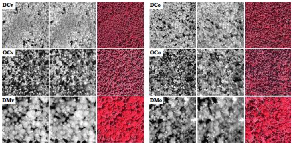 Forests 06 03899 g002 1024