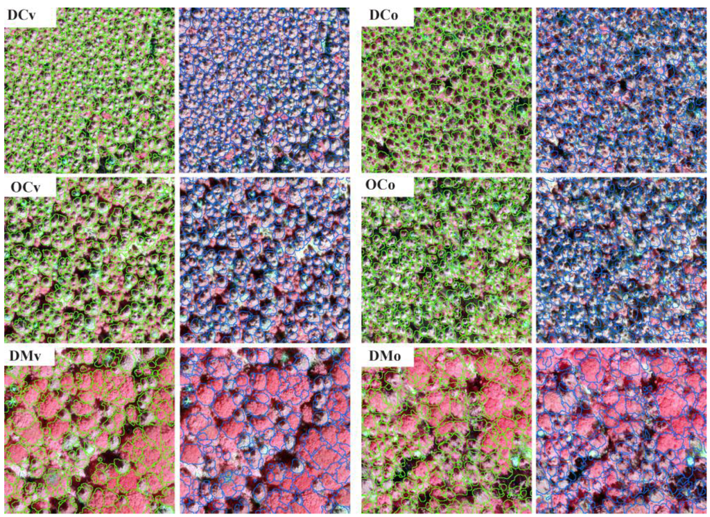 Forests 06 03899 g007 1024