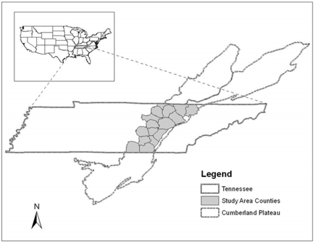 Forests 06 03985 g001 1024