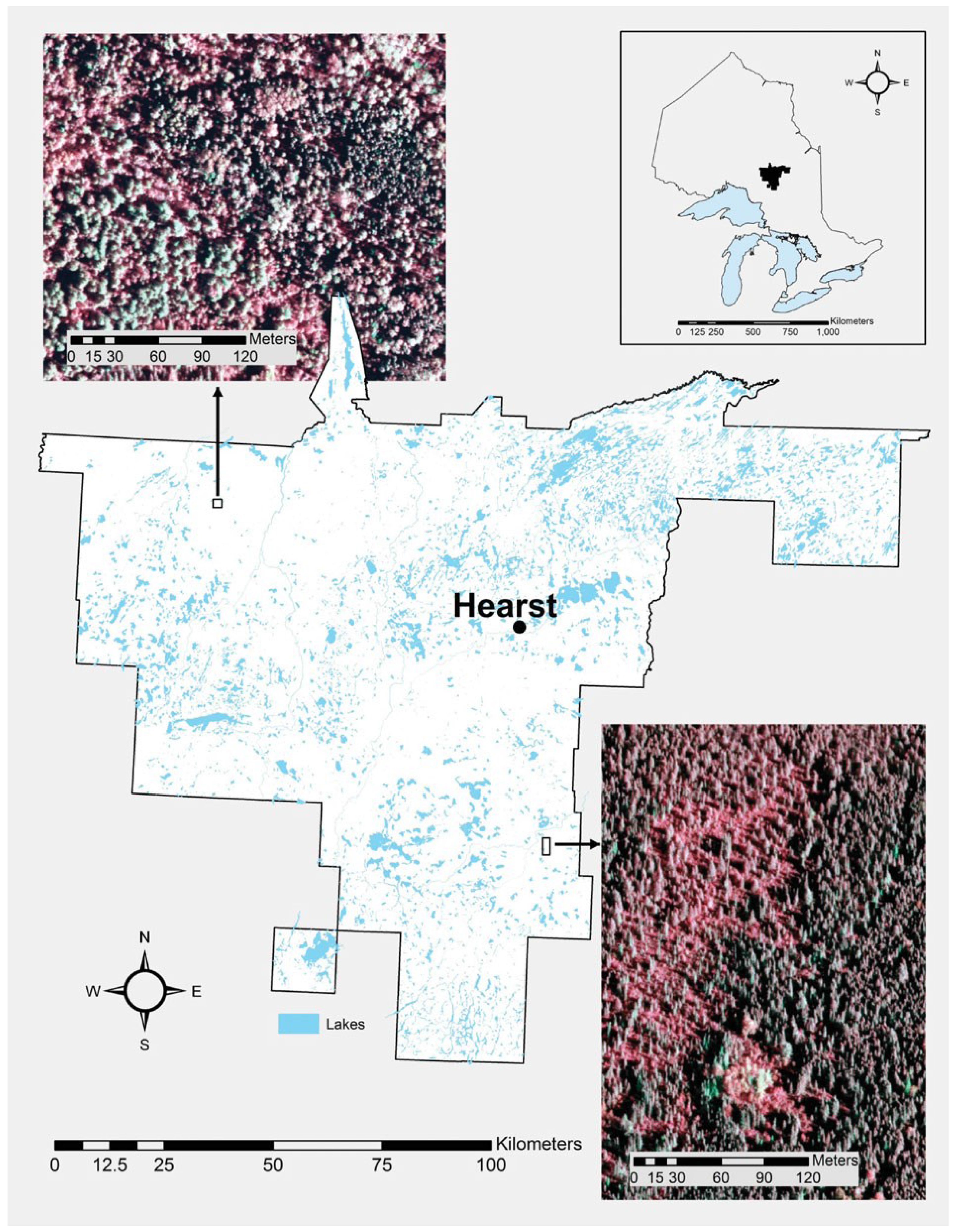Forests 06 04034 g001