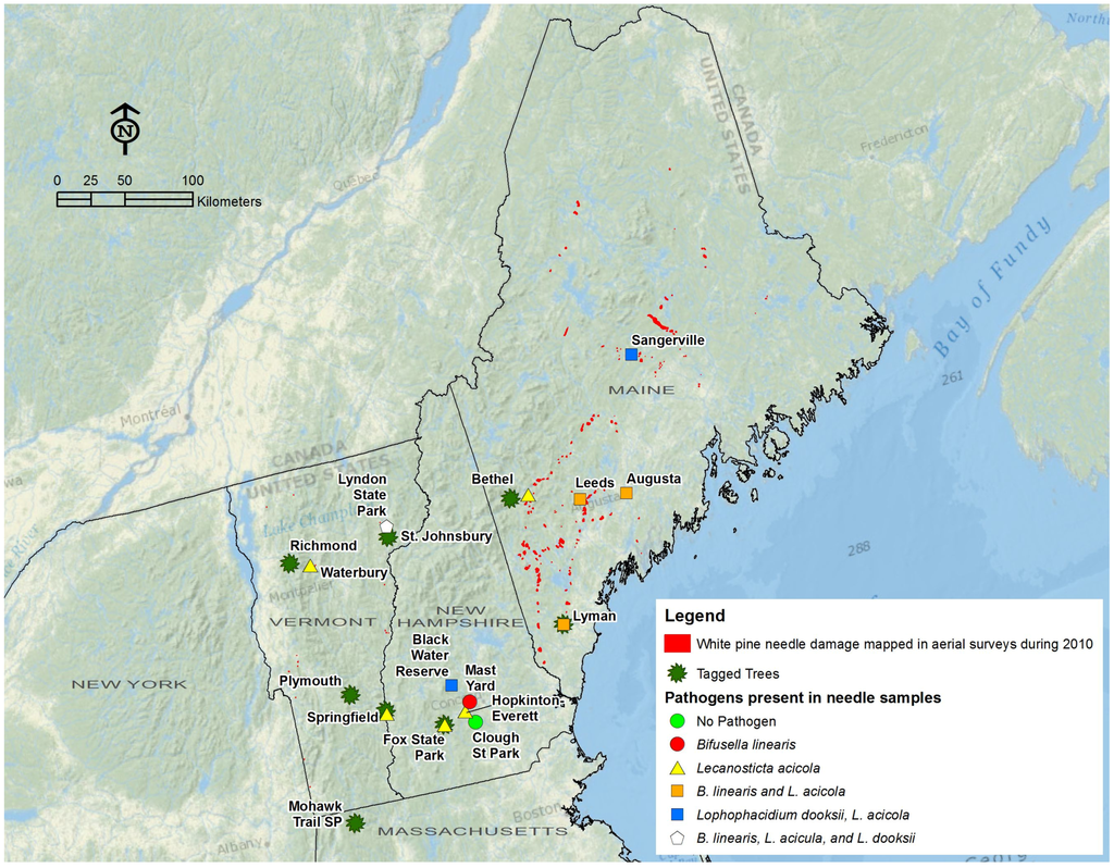 Forests 06 04088 g001 1024