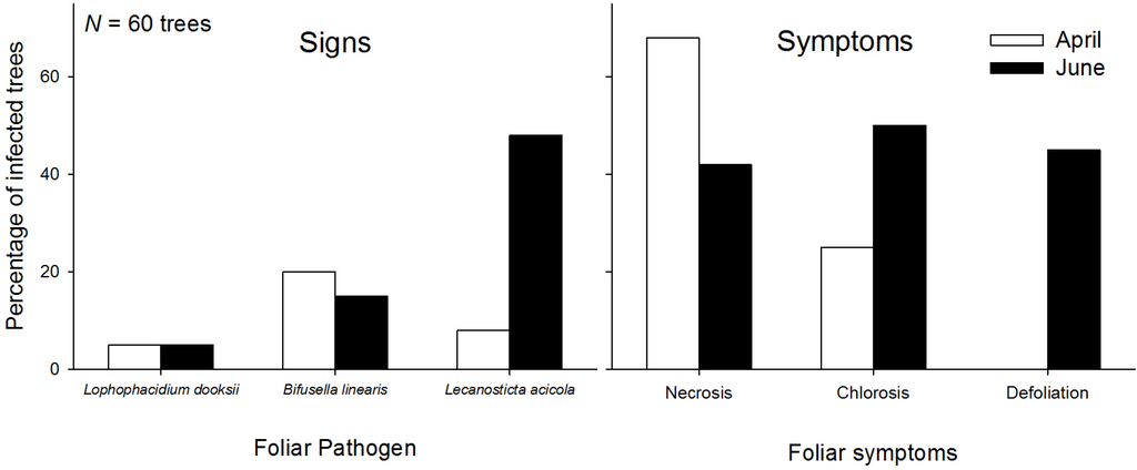 Forests 06 04088 g003 1024