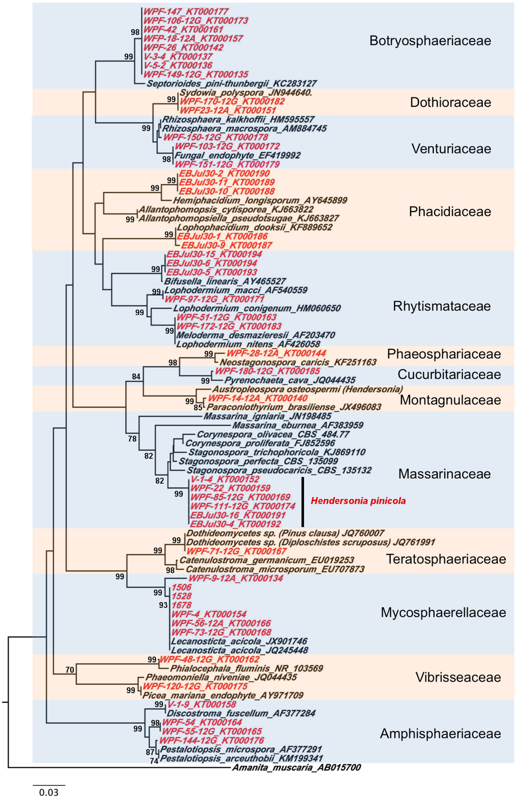 Forests 06 04088 g004 1024