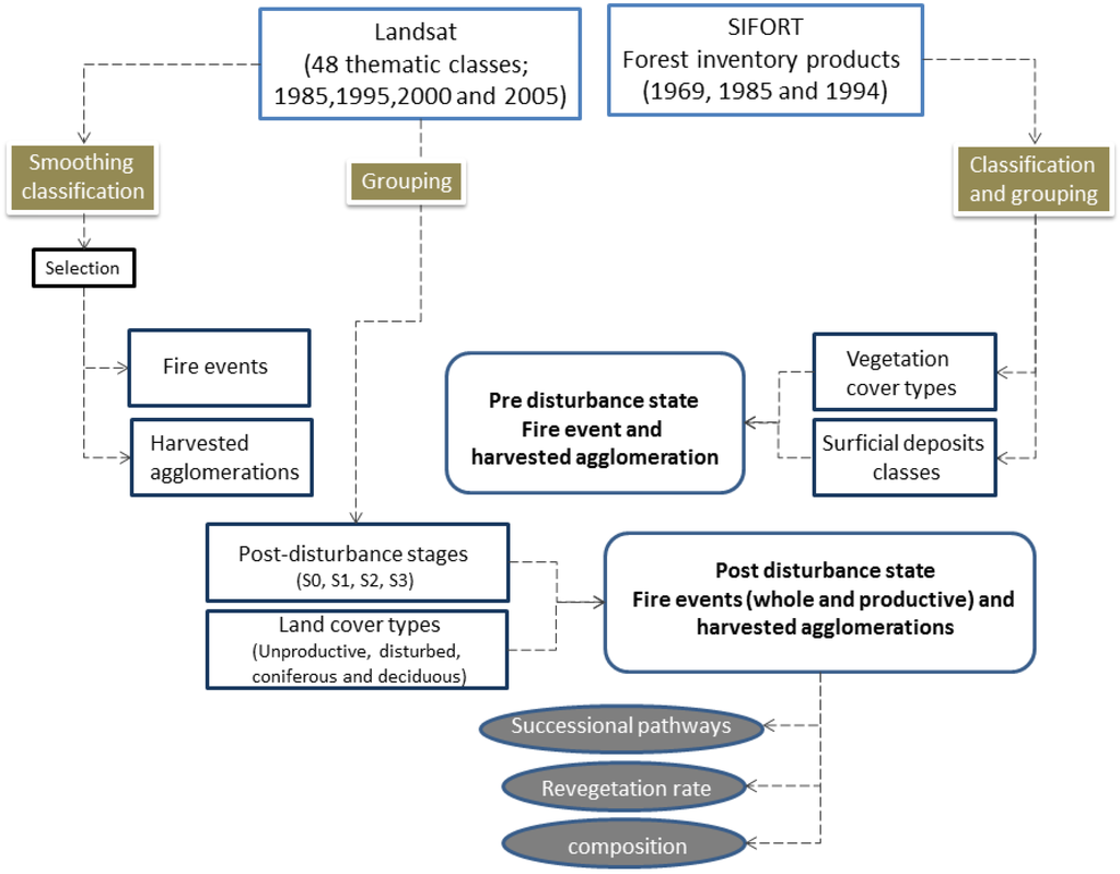 Forests 06 04105 g002 1024