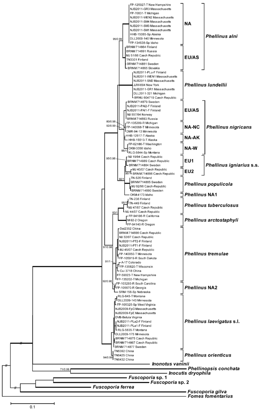 Forests 06 04191 g001 1024