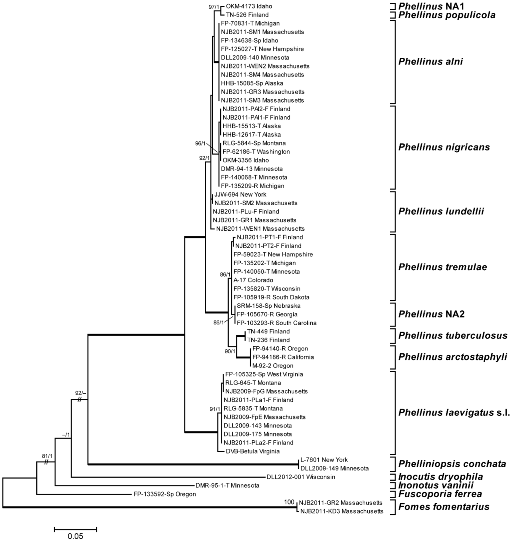 Forests 06 04191 g003 1024