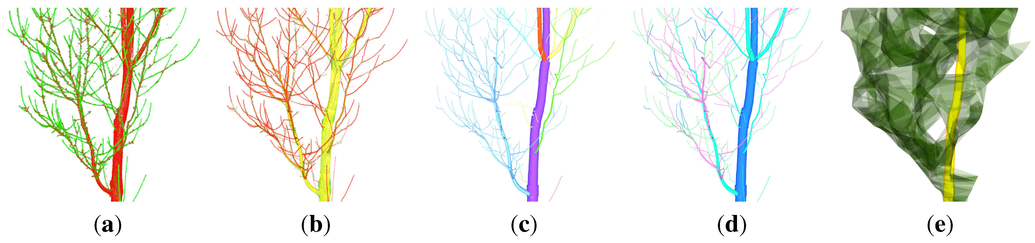Forests 06 04245 g001