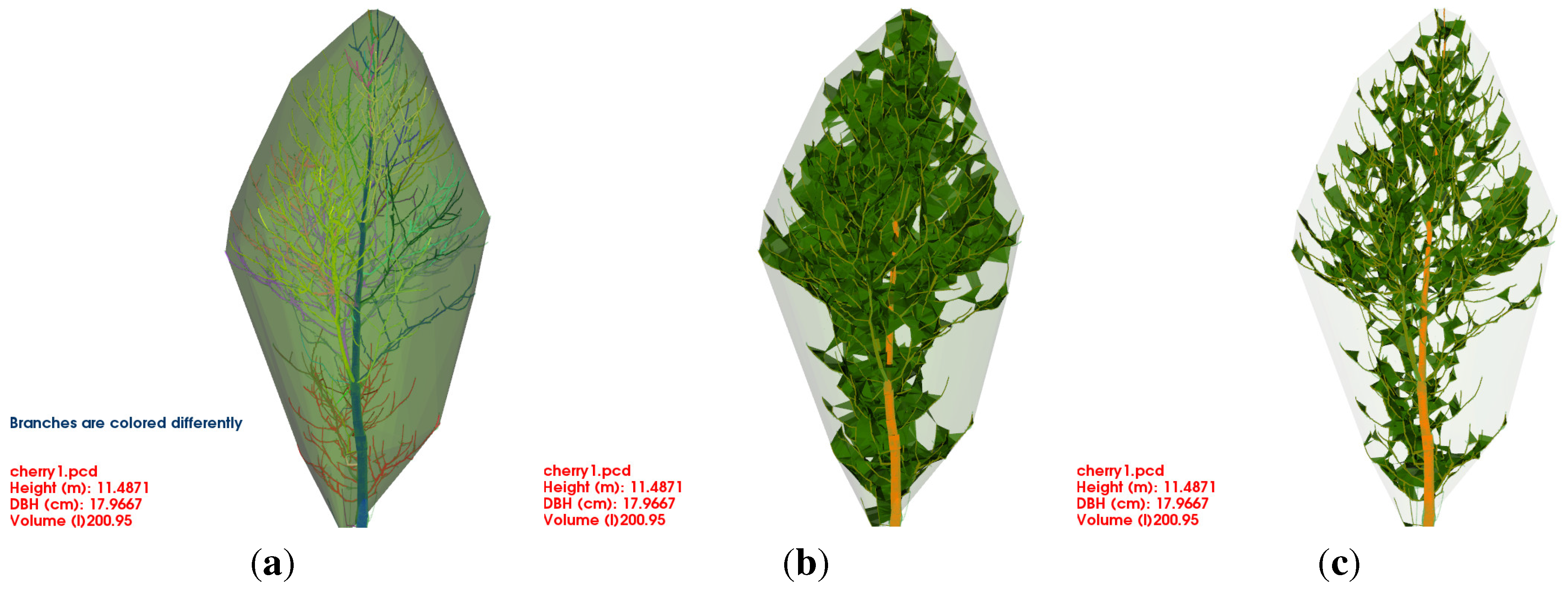 Forests 06 04245 g005
