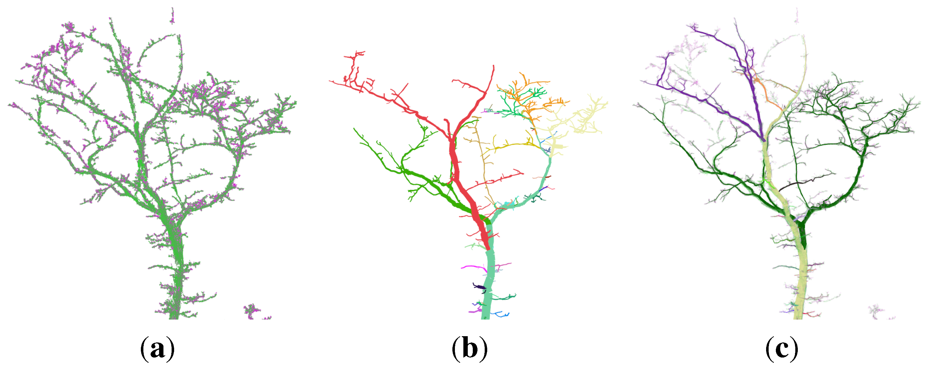 Forests 06 04245 g010