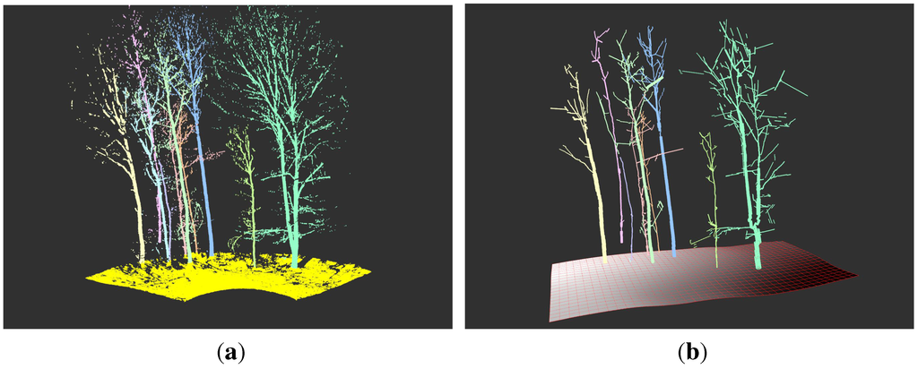 Forests 06 04245 g017 1024