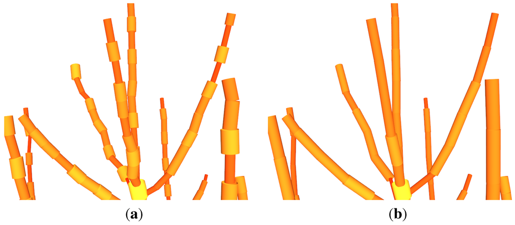 Forests 06 04245 g028 1024