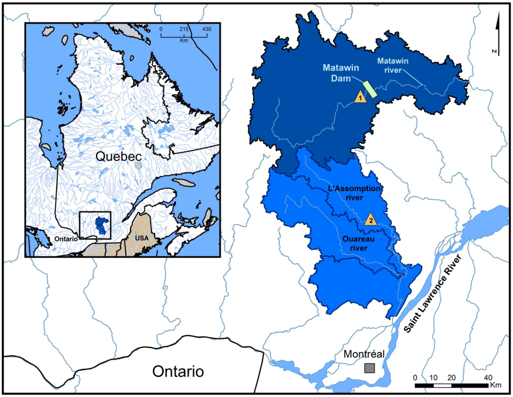 Forests 06 04349 g001 1024