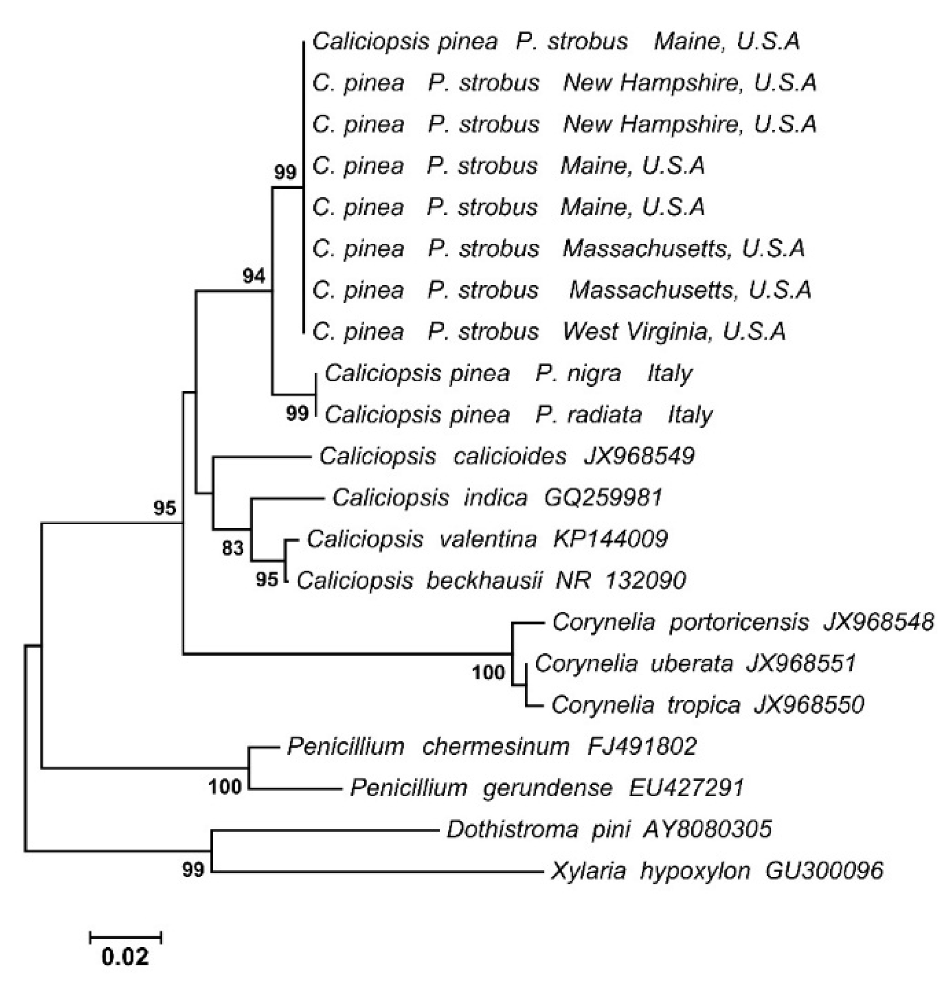 Forests 06 04360 g003