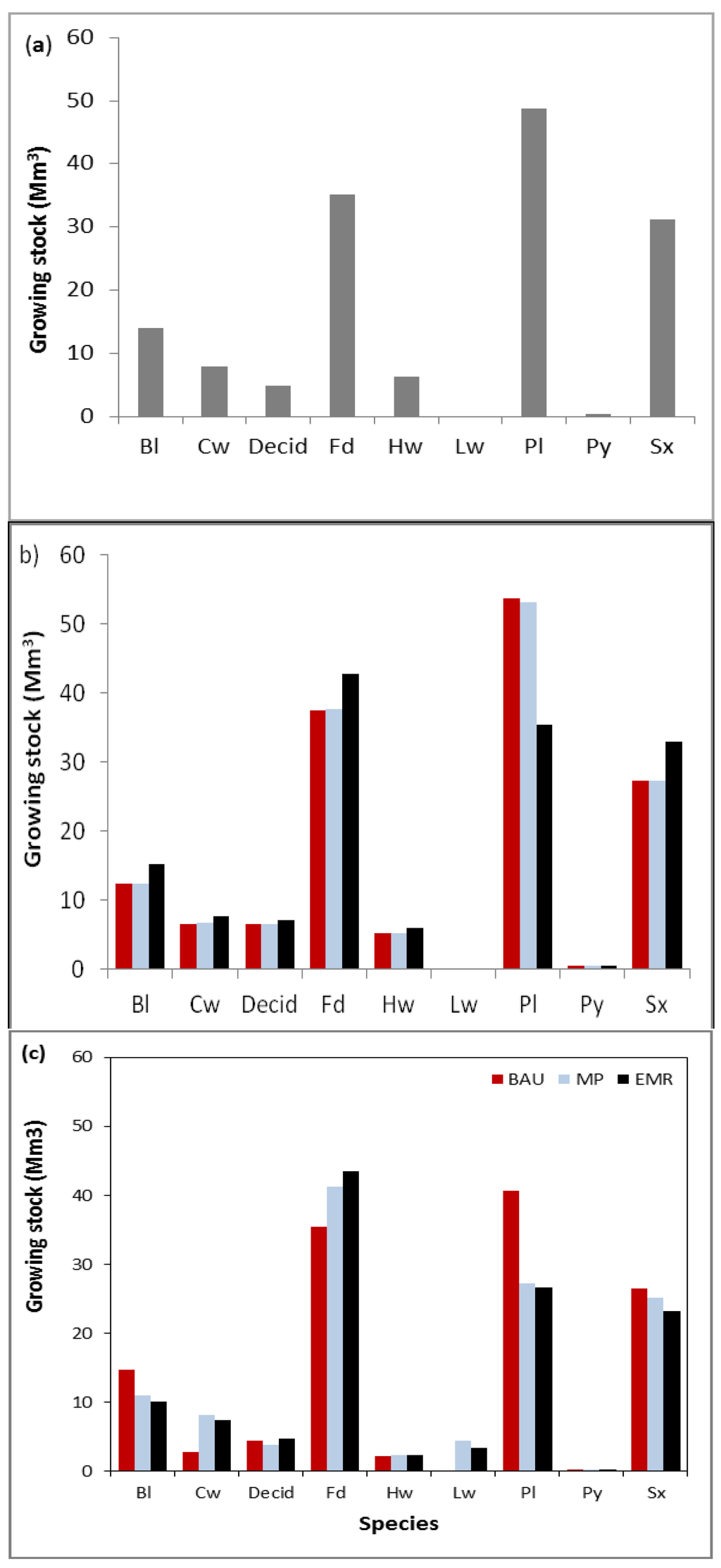 Forests 06 04377 g003 1024