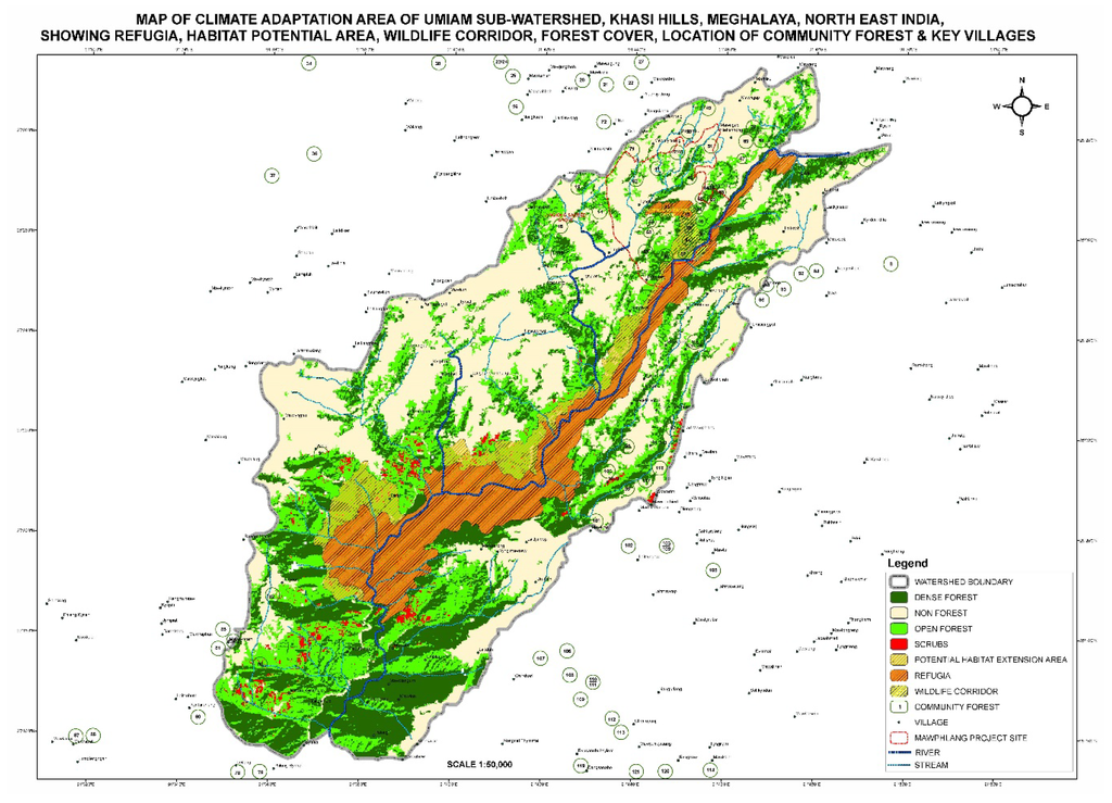 Forests 06 04382 g001 1024