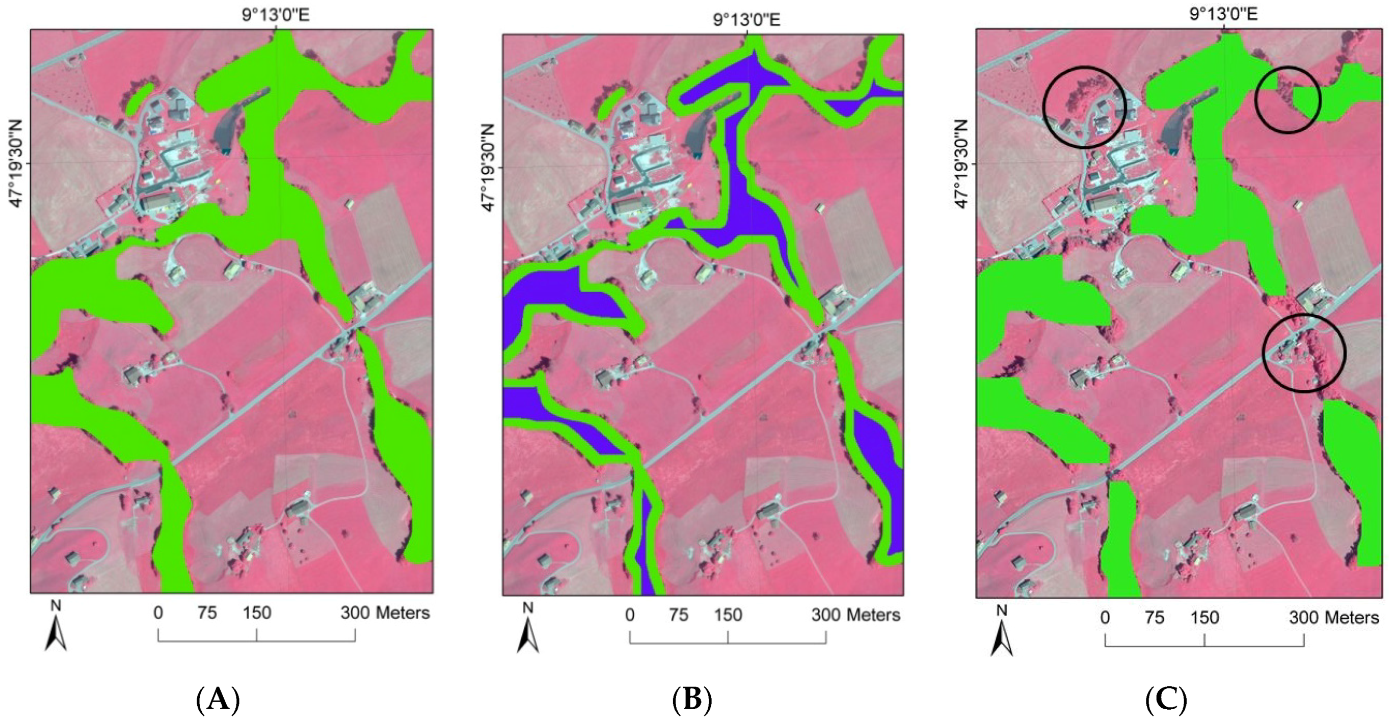 Forests 06 04386 g005