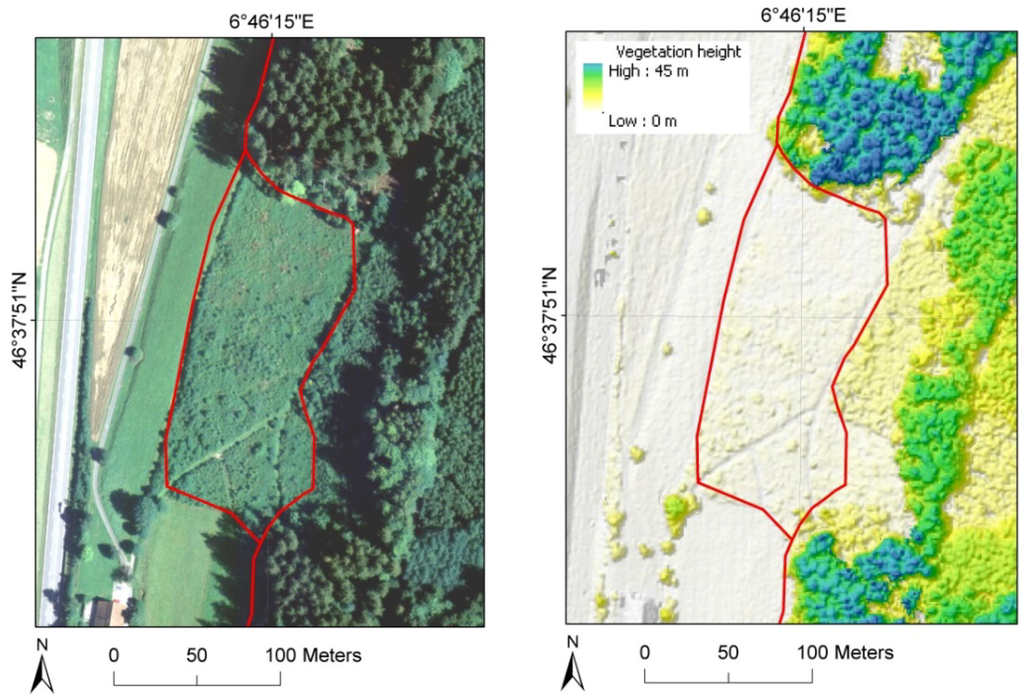 Forests 06 04386 g006 1024