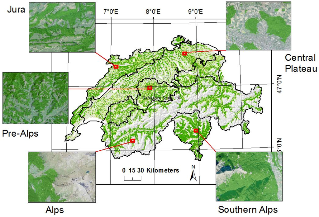 Forests 06 04386 g007 1024