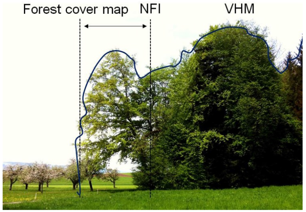 Forests 06 04386 g009 1024