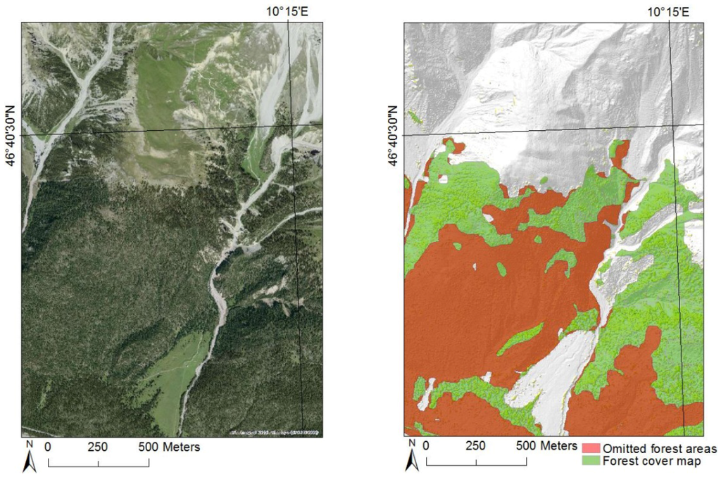 Forests 06 04386 g010 1024