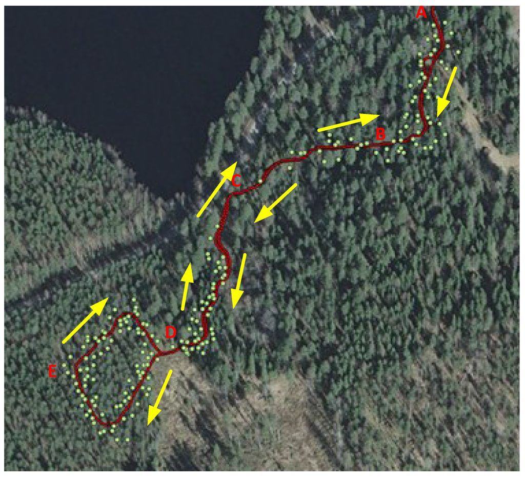 Forests 06 04390 g005 1024