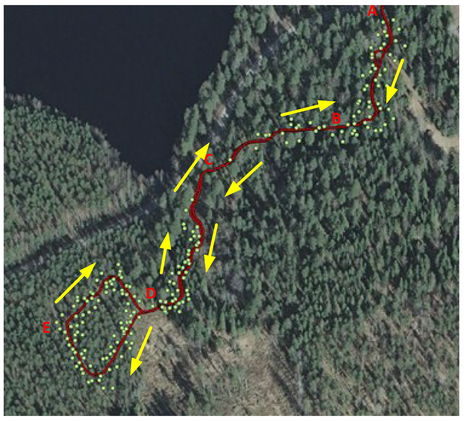 Forests 06 04390 g005