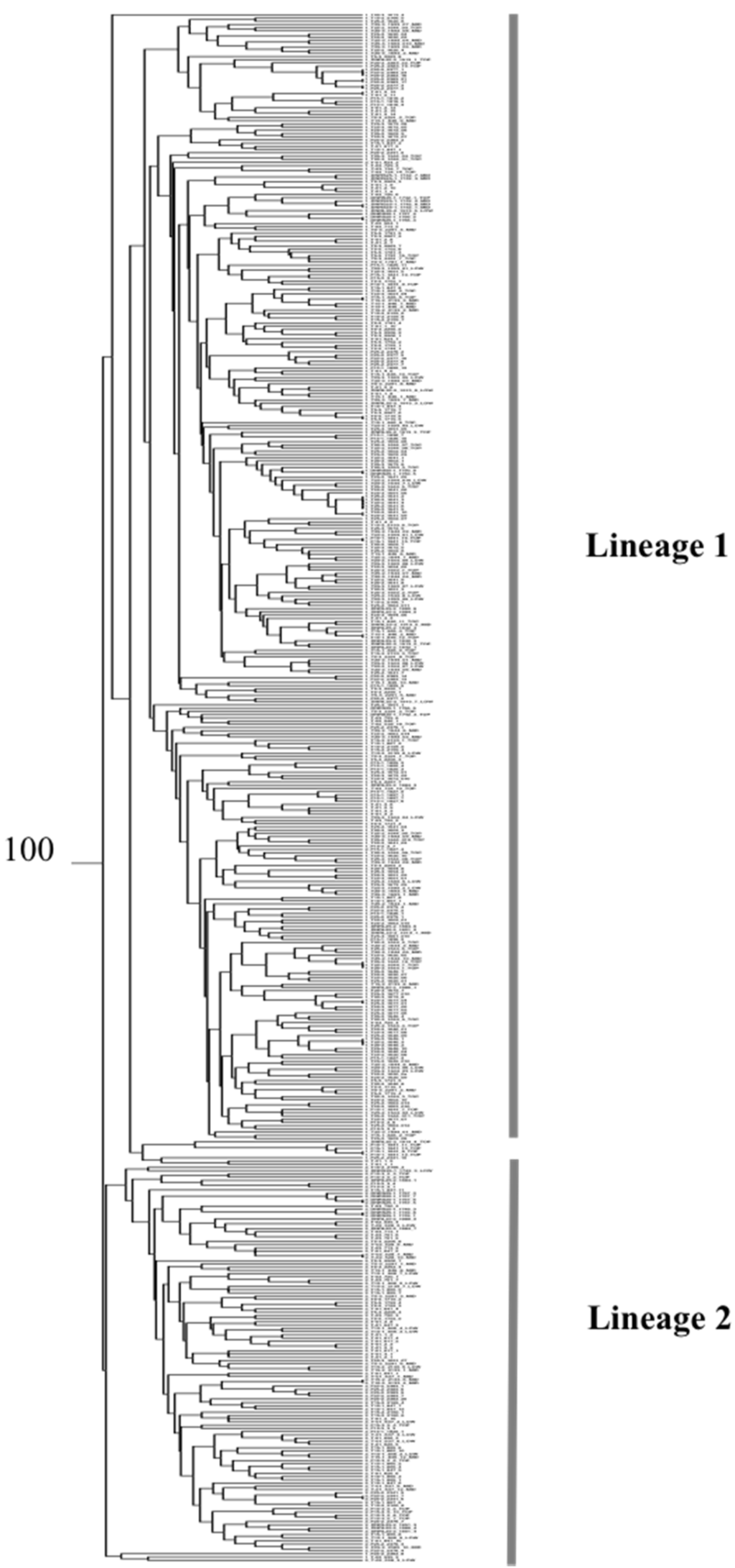 Forests 07 00014 g004 1024