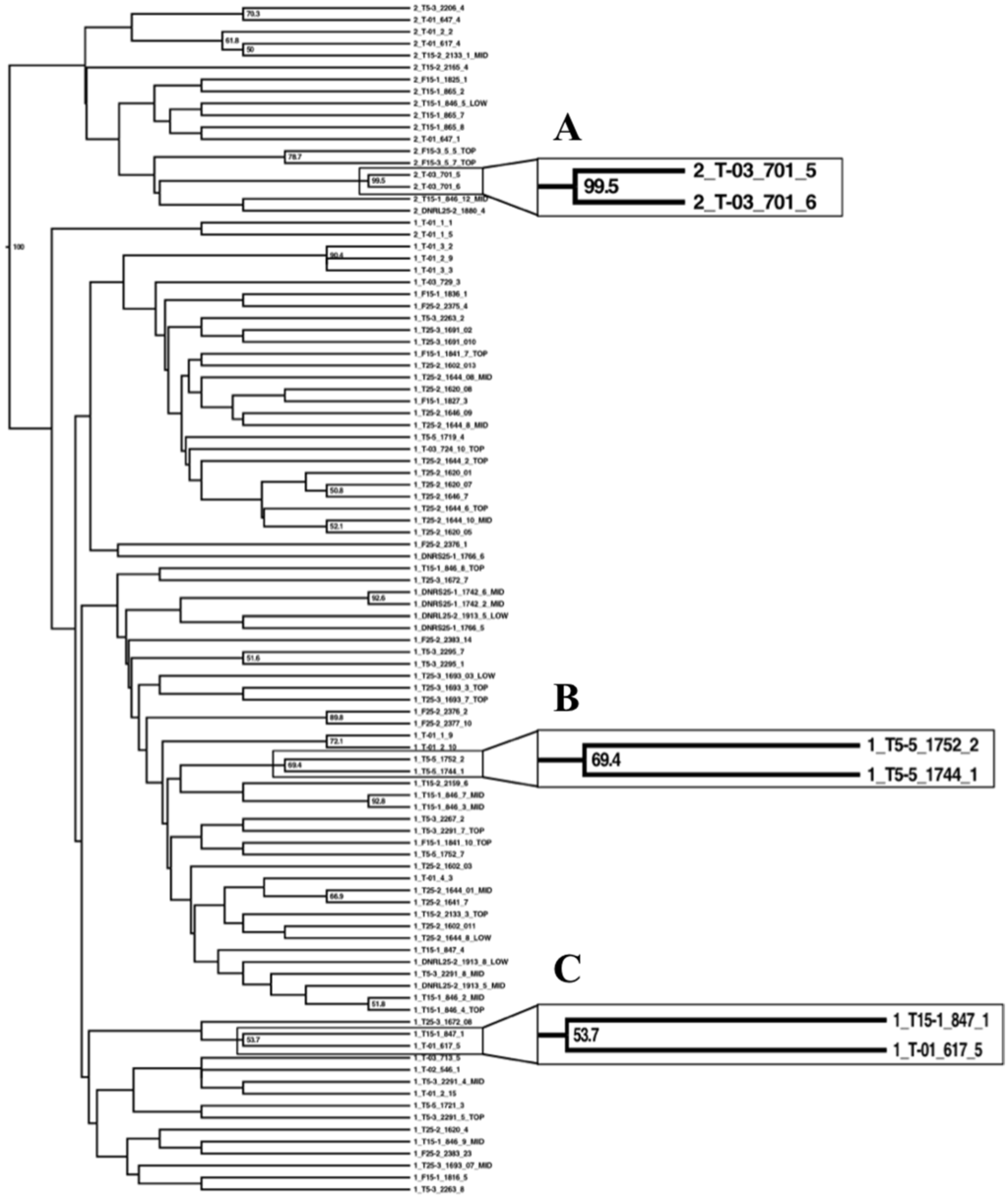 Forests 07 00014 g005 1024