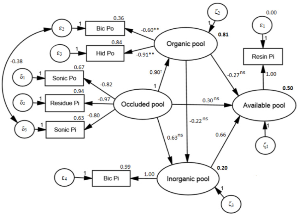 Forests 07 00015 g004 1024
