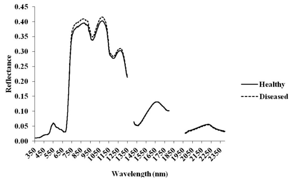 Forests 07 00020 g004 1024