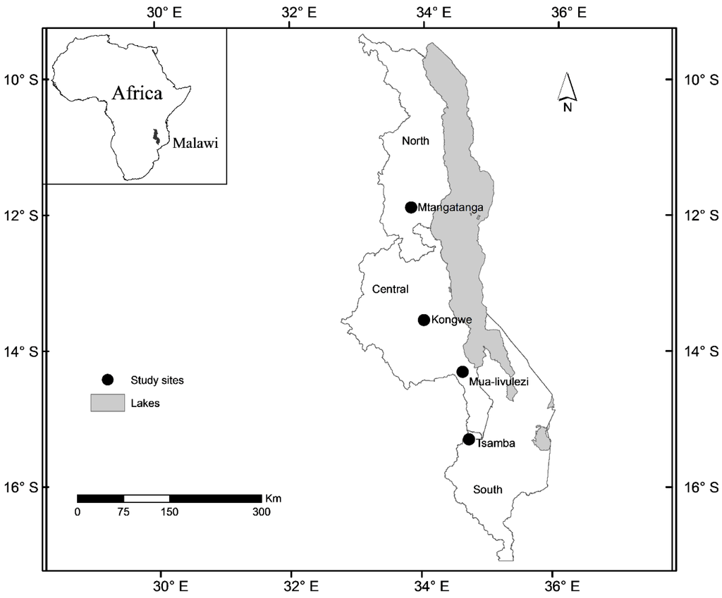 Forests 07 00038 g001 1024