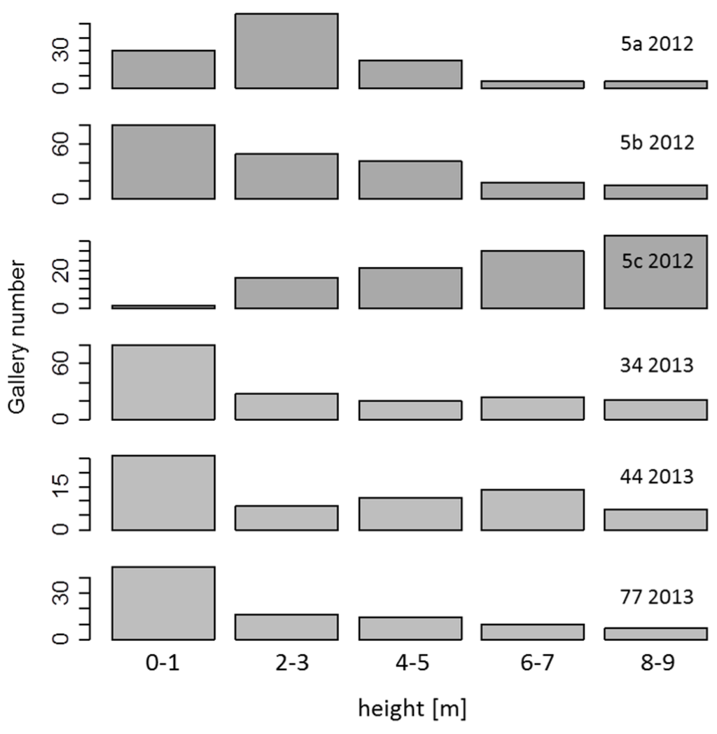 Forests 07 00041 g006 1024