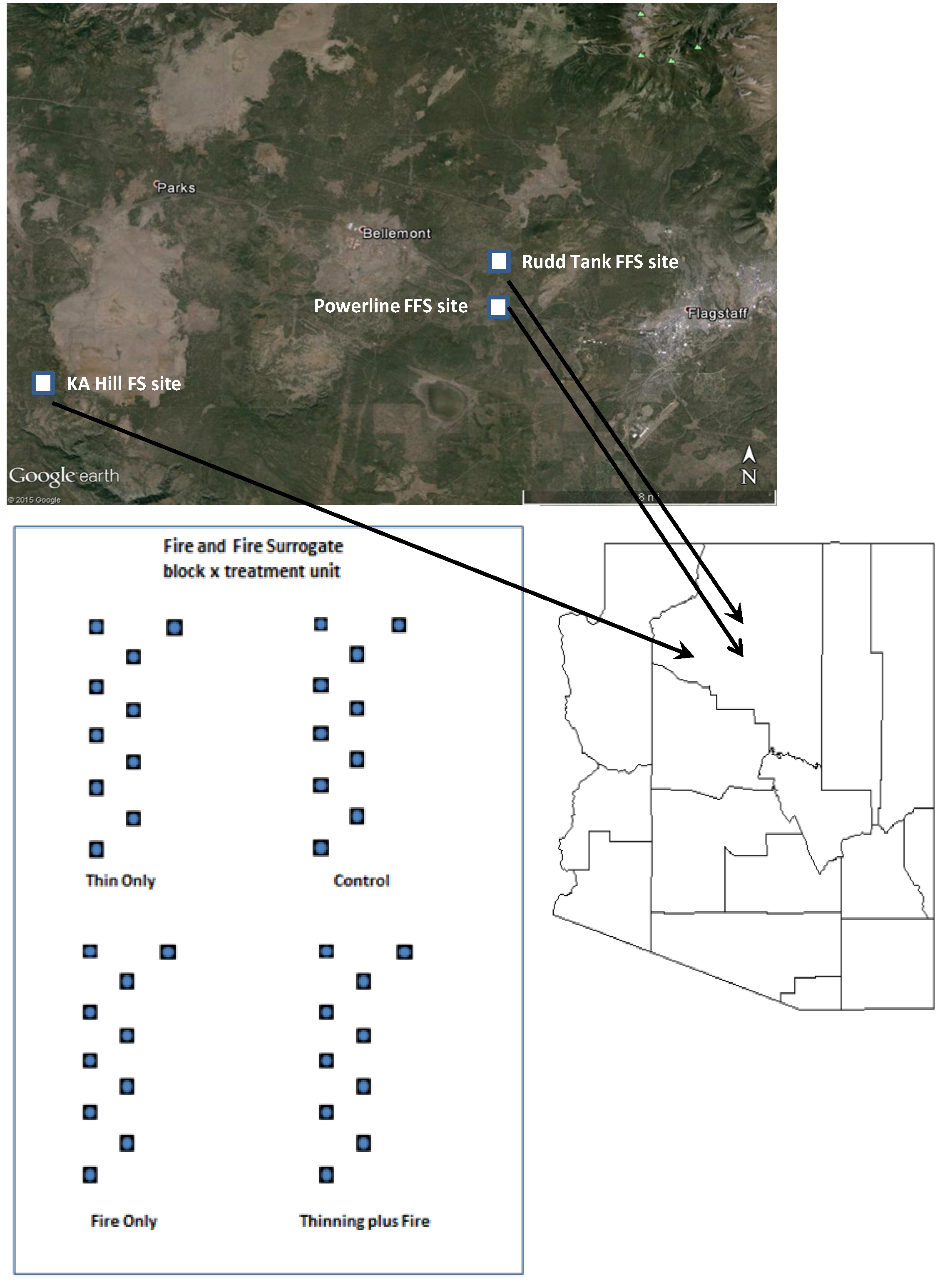 Forests 07 00045 g001