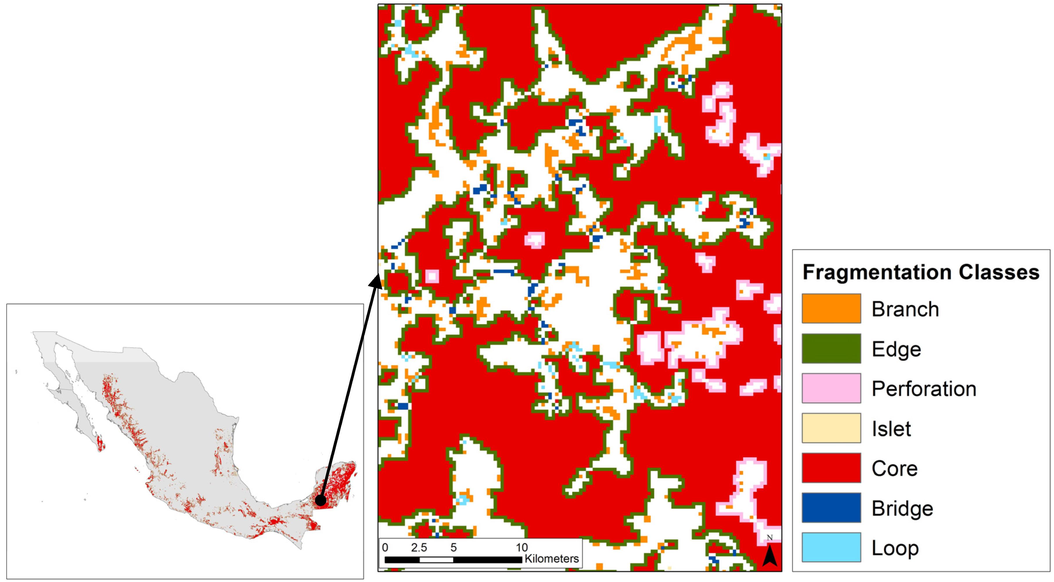 Forests 07 00048 g003