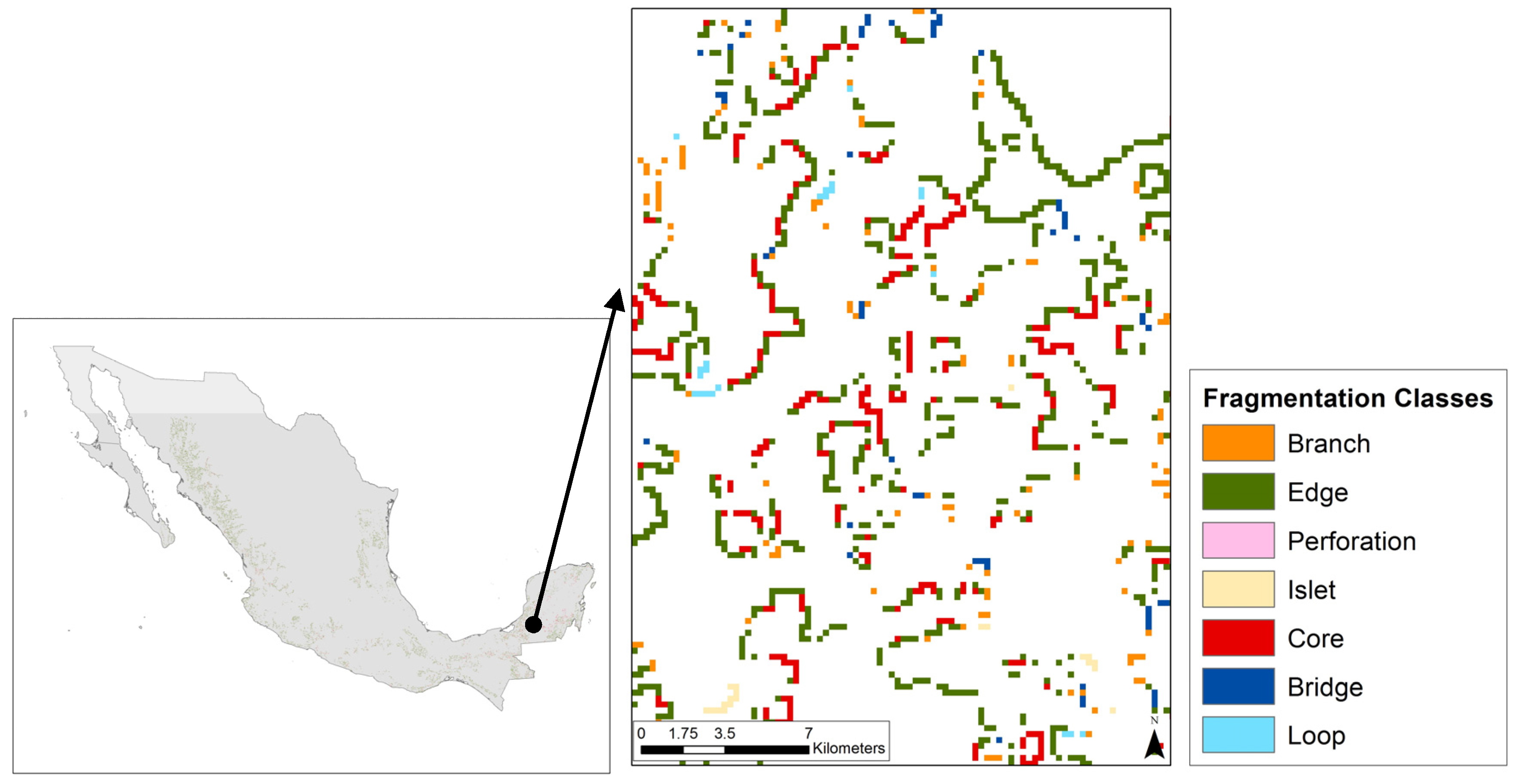 Forests 07 00048 g005