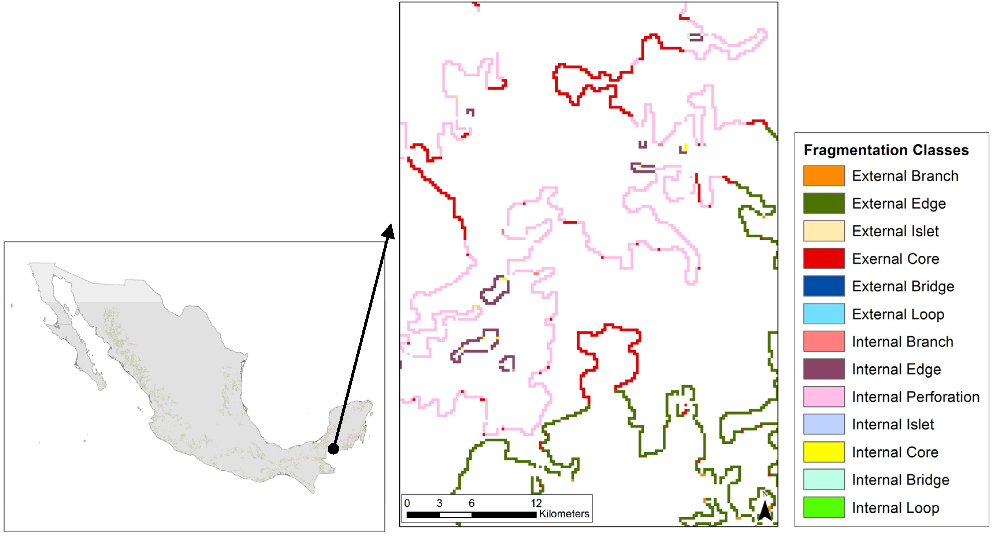 Forests 07 00048 g006