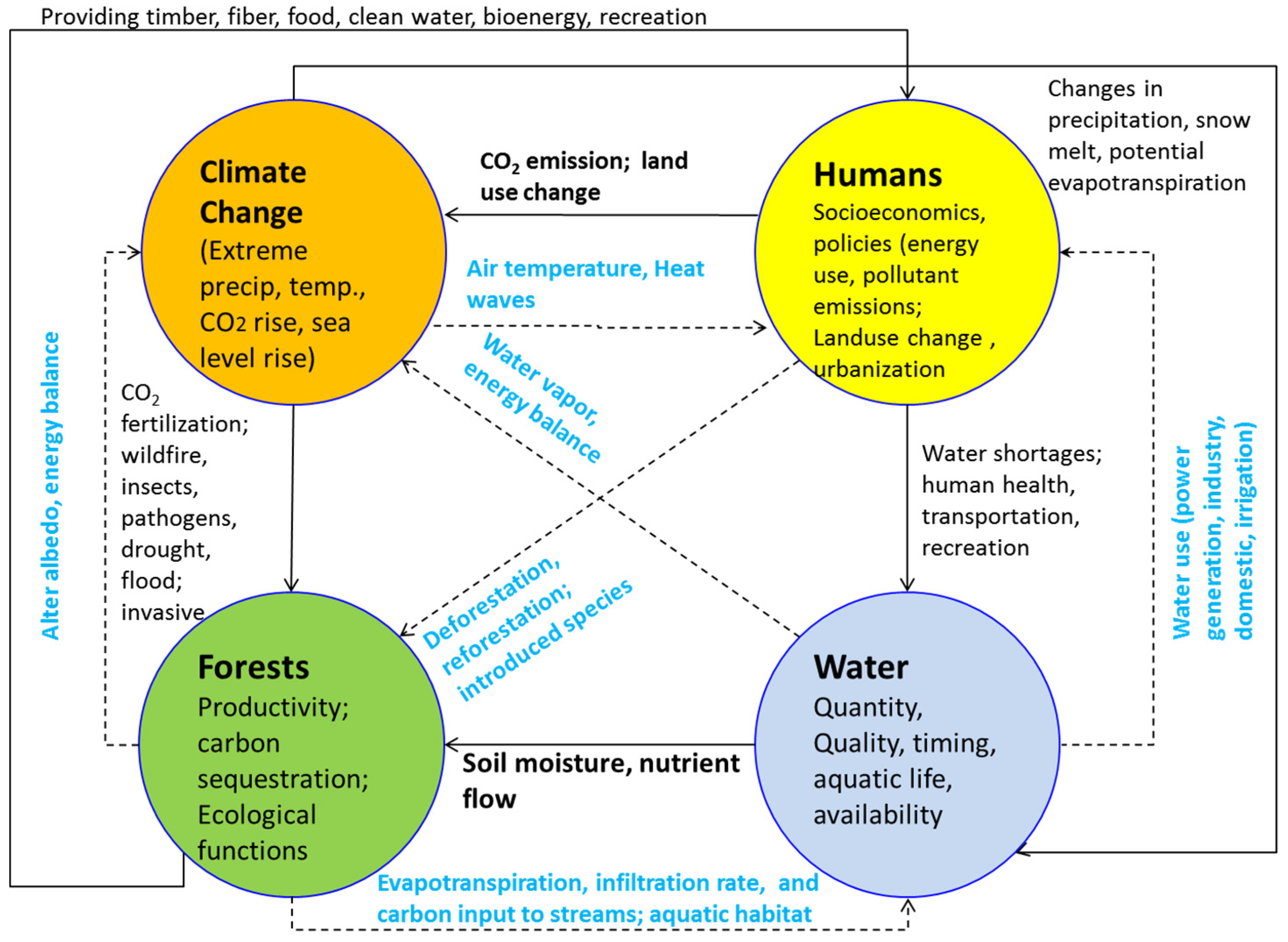 Forests 07 00068 g001